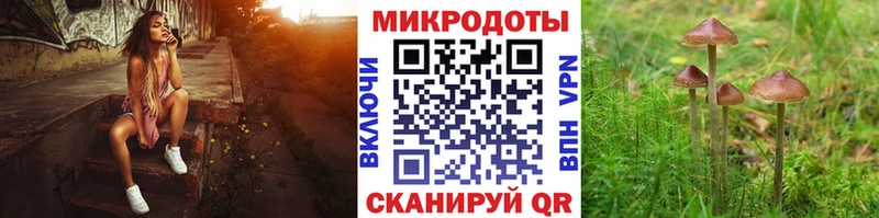 Псилоцибиновые грибы ЛСД  Назарово 