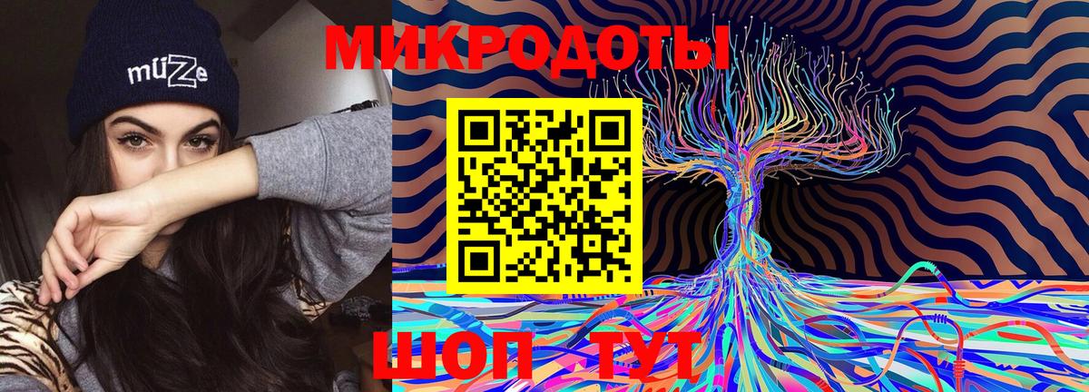 Псилоцибиновые грибы Cubensis  Вход с VPN  Назарово 